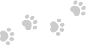 Paws Group